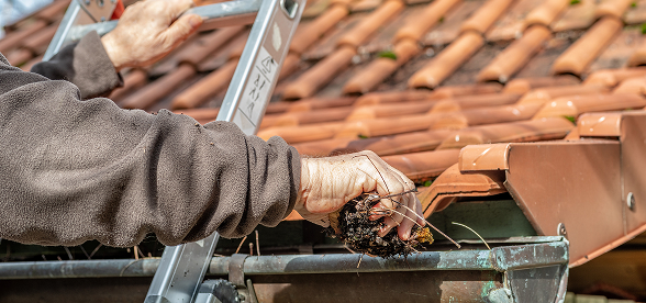 Mother and Son Baking