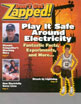 Zapped brochure