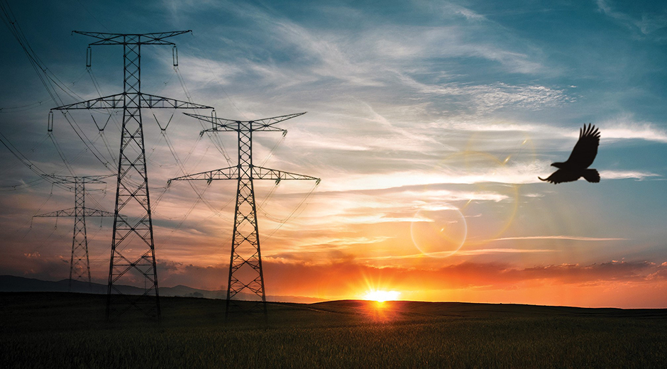 2025 Corporate Responsibility Report 