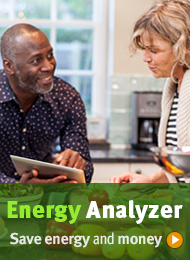 Click here for Energy Analyzer