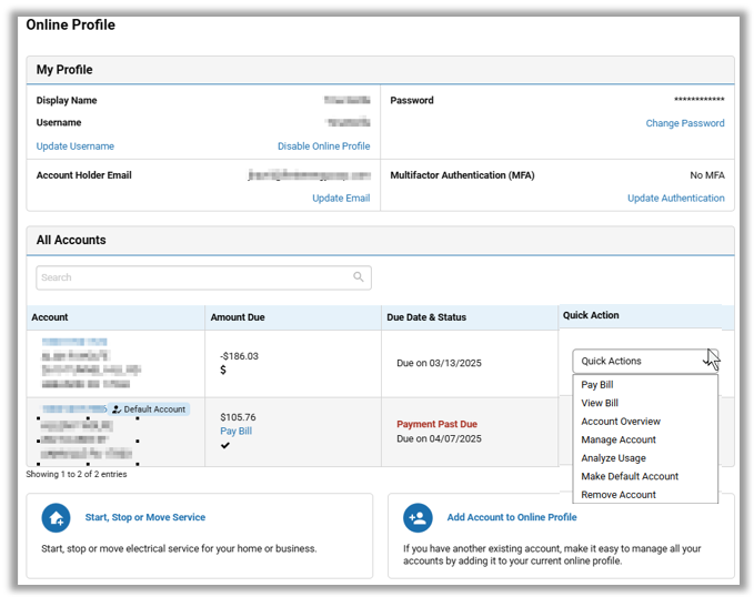 Online Profile
