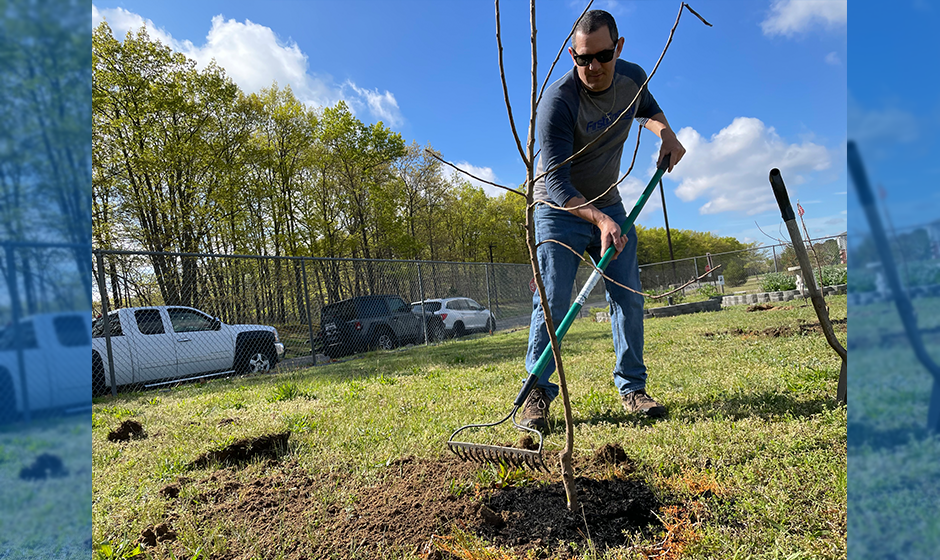 Employee planting trees