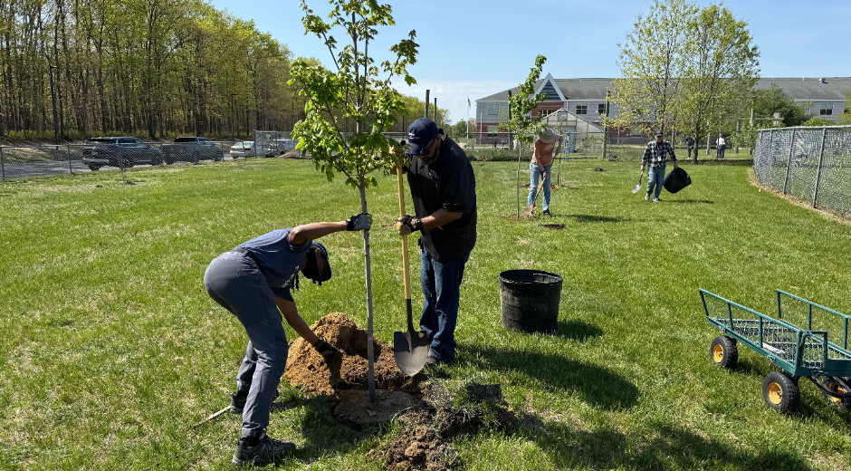 NJ Tree Planting