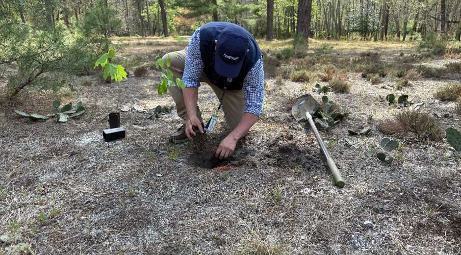 NJ Tree Planting