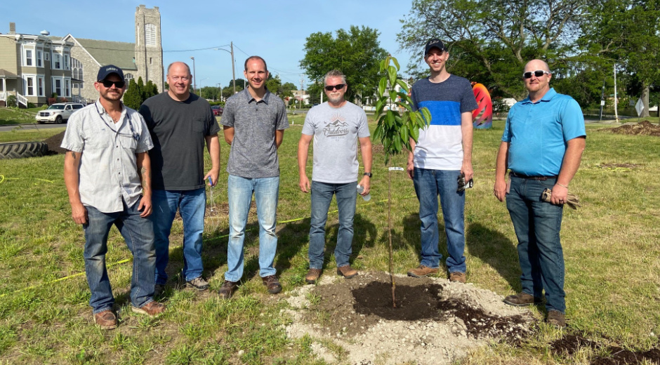 tree planting