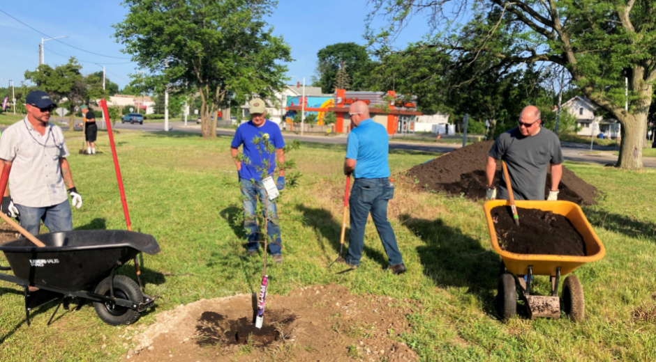 tree planting