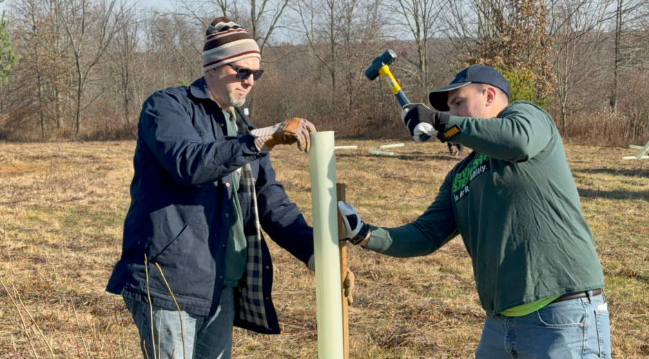 Planting Trees