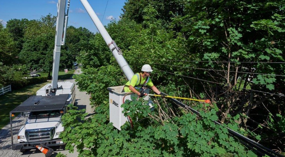 JCP&L tree trimming