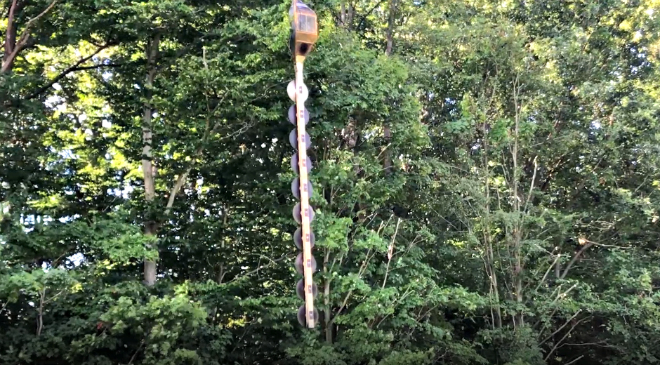 tree trimming