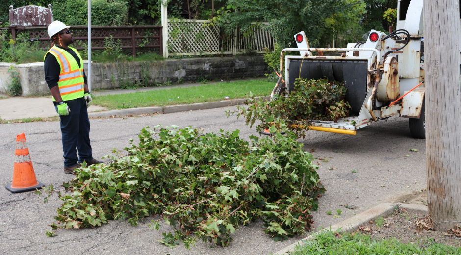 Tree Trimming