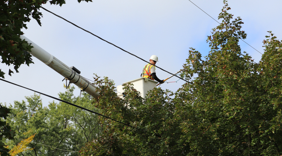 Penelec tree trimming