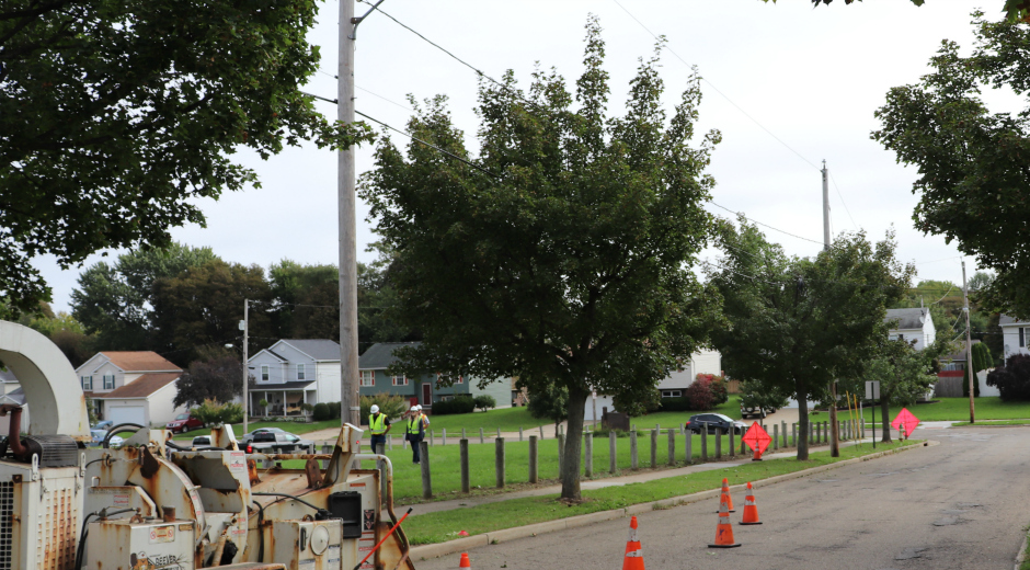 West Penn Power tree trimming