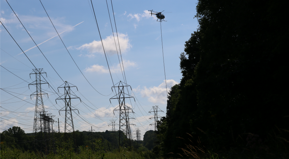 Tree Trimming around Power Lines