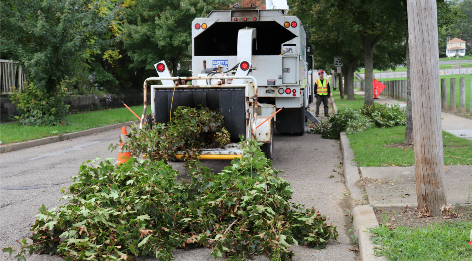 Potomac Edison tree trimming