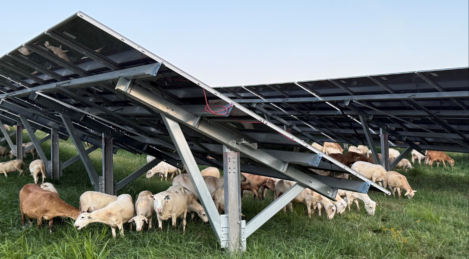 Mon Power Solar site