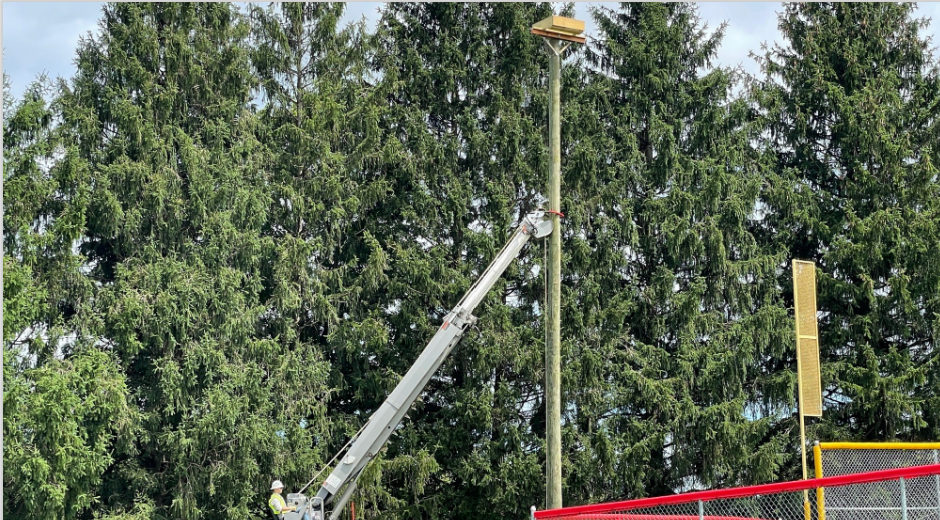 nesting platform installation