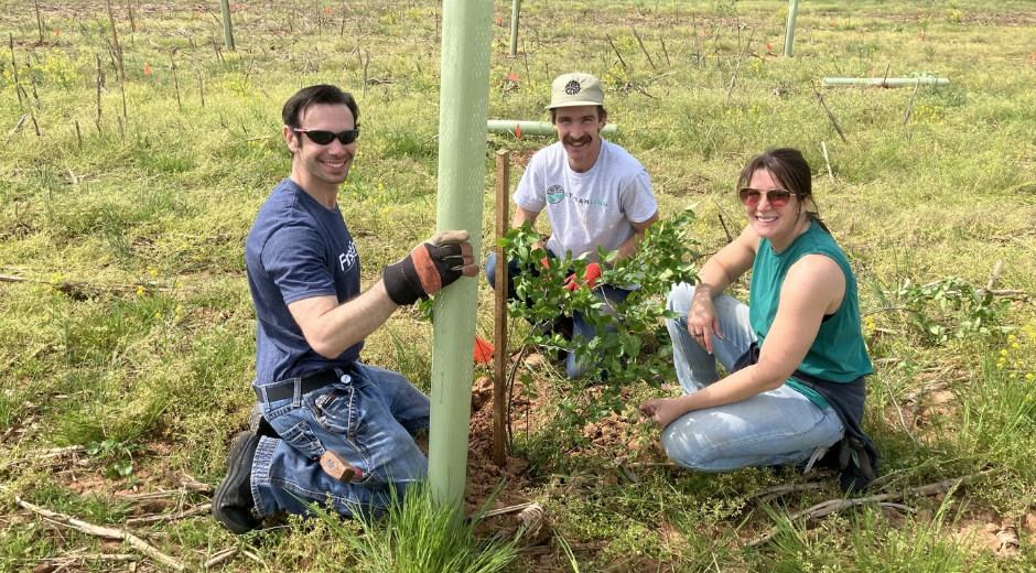 Potomac Edison Tree Planting