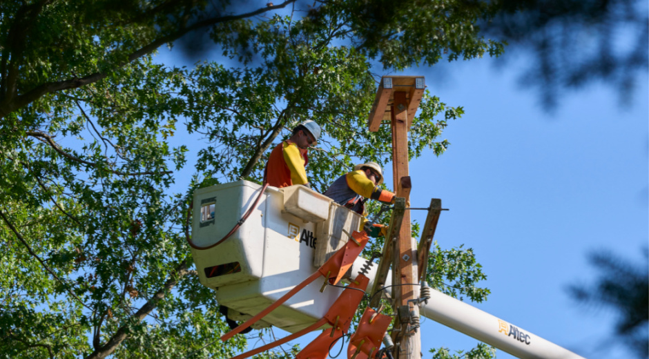 Eagles Nesting Station