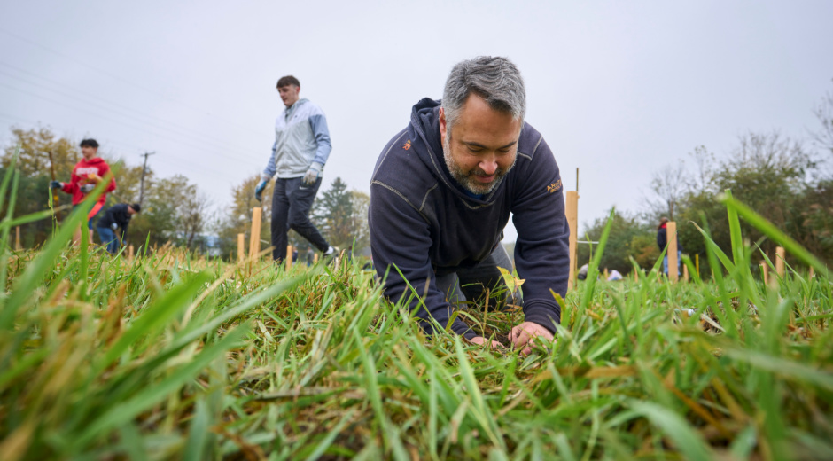 Tree Planting