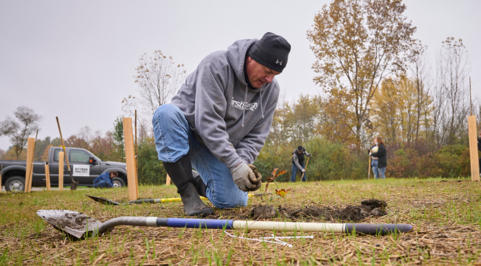 person planting tree