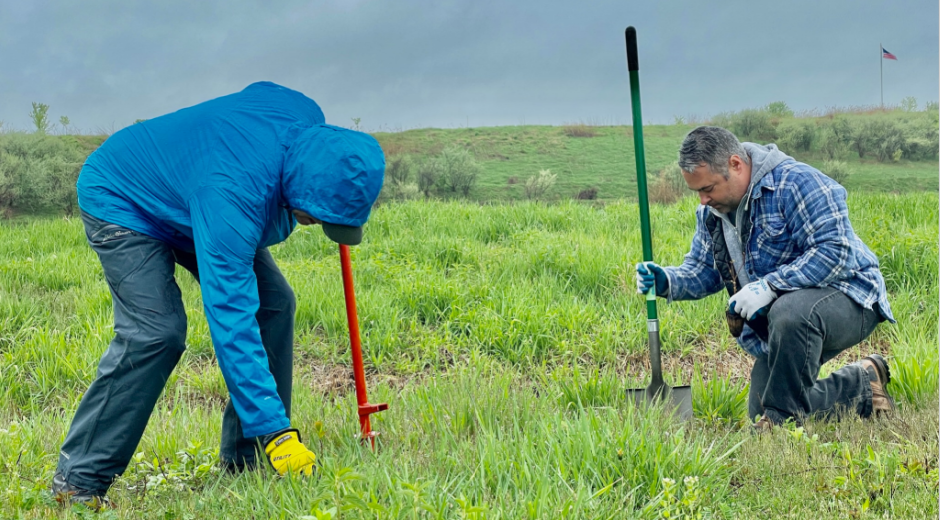 Rittman tree planting