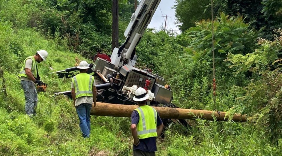Linemen upgrading electrical lines