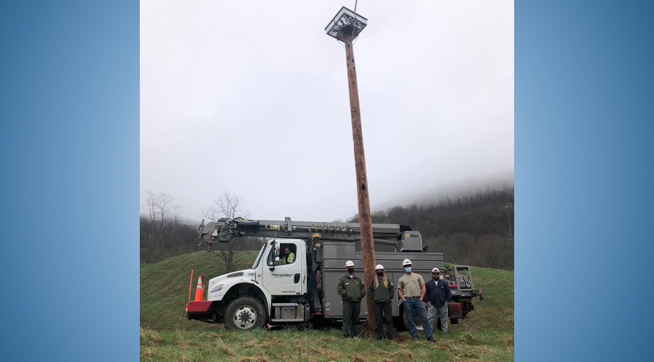 Potomac Edison Nesting Platform