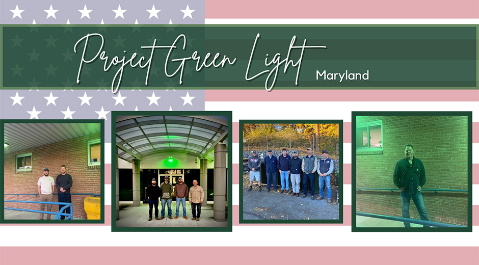 project green team