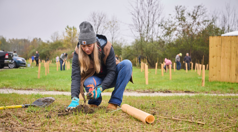 Employee Plants Tree