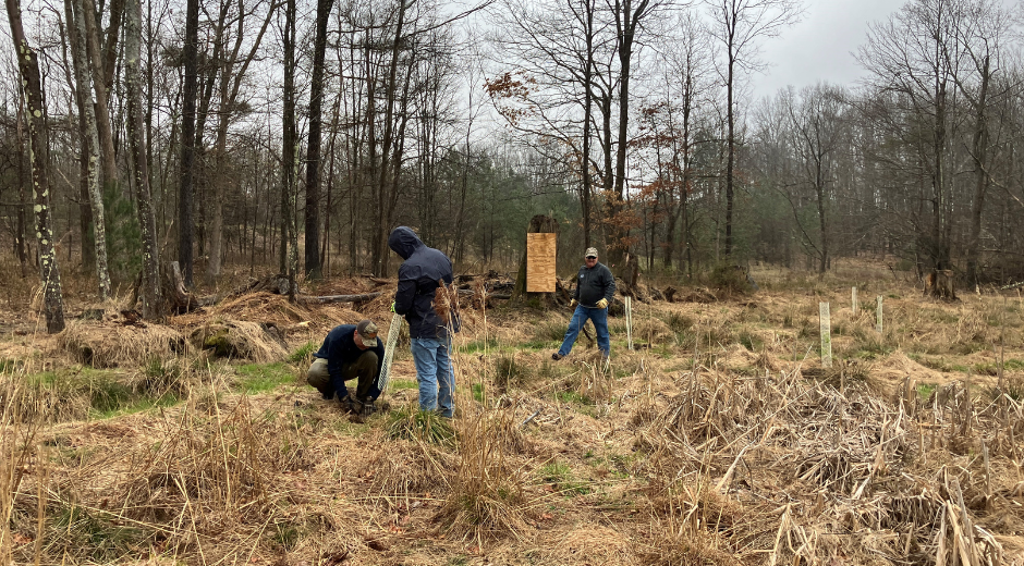FirstEnergy Green Team 