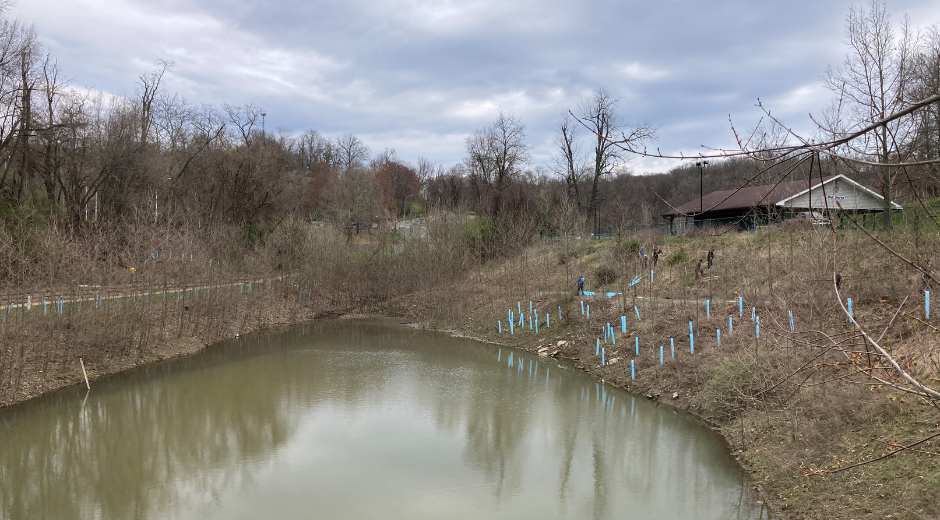 Green Team Pond View 