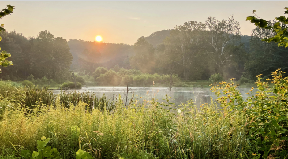 Akron Park pond view